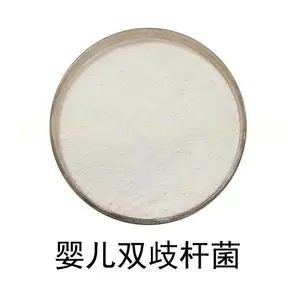 食品级冻干型乳酸菌粉-婴儿双歧杆菌 活性益生菌散装原料100-1000亿可定制