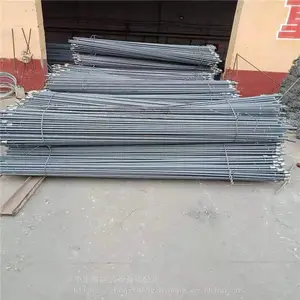 �������� ���Ƹ���������ê�˿����ֻ� �ṹ��