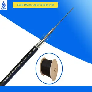 ELT12о��ģͨ������ʽ����GYXTW����ֱ��