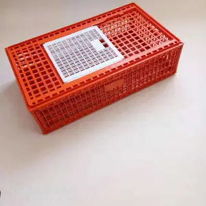 成鸡笼 成禽周转箱 鸡笼子 鸭笼子 塑料鸡笼