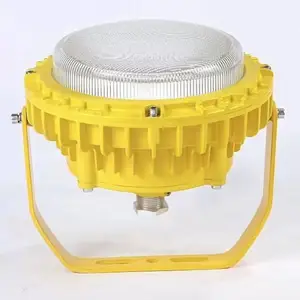 LED防爆灯 BED150-100W 投光隔爆型免维护圆形壁挂吊杆AC220V