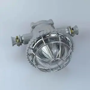 防爆灯具DGS15/127L隔爆型LED港道灯 接能防爆型灯