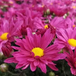������仨��,������ڻ���,�����û�Ʒ������Щ����ҵ�û�