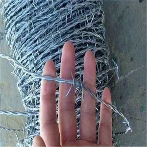 ��ʵ��п���� ��п���� ���ܴ��� ����ִ�����֧��֧�ֶ���