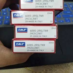 6005-2RSLTN9/HC5C3WT���