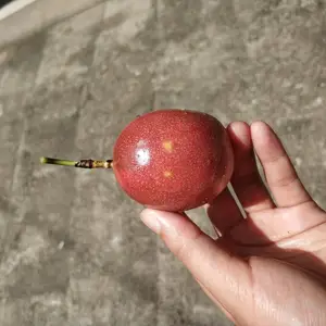 ���ʺ������Ӧ���ϰ����5���д��