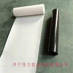 ����PP����--רҵ��������