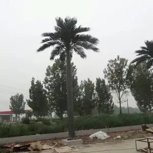 ���Ϸ���Ҭ������Ʒѡ���콾����԰�ּӹ�����������