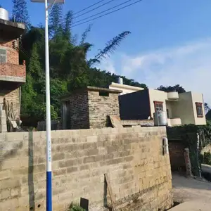 ��ɫ�������������Ƹ�������·�Ƹ˶������