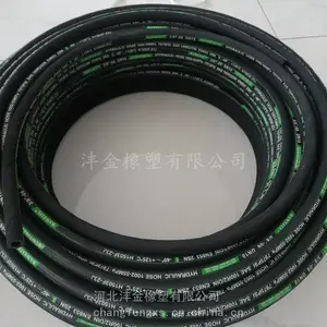 DN10-2SN-55Mpa��ѹ�͹� ���÷�����ƹ����͹� ���ڶ��ֻ�е�豸