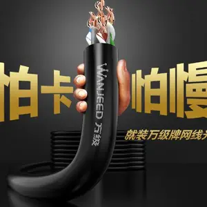 广东电脑工程网线品牌 欢迎来电 万级 wanjeed供应