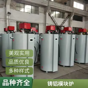BTRO-338户外商用低氮冷凝容积式燃气热水炉99KW燃气热水器