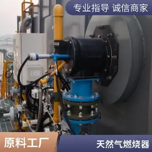 垃圾焚烧炉燃烧器 一次风加热燃烧器 二燃室天然气燃烧器 岱鼎