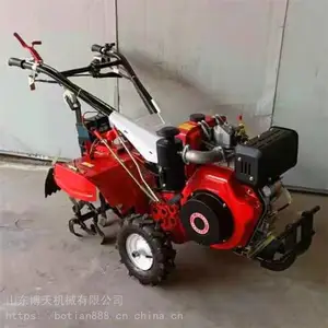 ��԰���������� ����186�Ϳ����� ���쿪��������