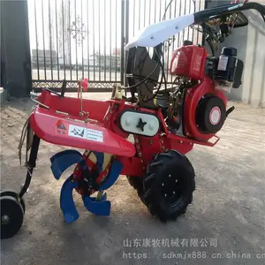 ��������ַ������� ��԰���������� ����ʽ������¢��