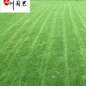 �Ĵ��첥��ƺ���� �ɶ��첥��ƺ�۸� �ļ������ͼ�̤��ƺ ���ʱ��� �������