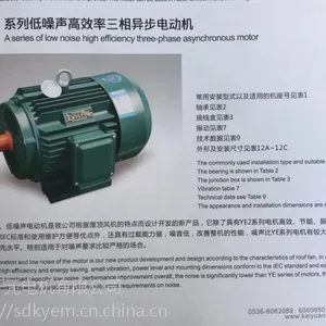 山东开元电机公司张凯变频电机YVF2-355L2-6-250