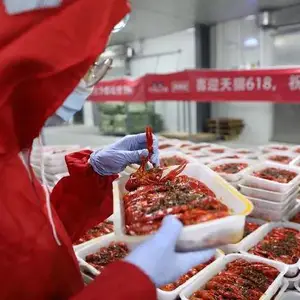建造一个储存小龙虾的冷冻库需要多少钱?