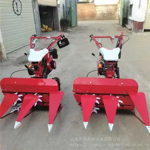 �����ַ�������ɹ�� ��С�͸�˻� �ǲ���ֳ�����ո��