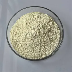 �������� ������ 99.*** ���׶������� �׹���մ��� �ֻ�������