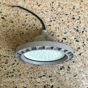 BTC8116-400WLED������/LED����Ͷ���400W-220V