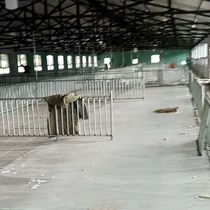 潍坊别墅建设选材很关键,如何实现高性价比,快速建成早使用?