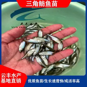 ���ҵ�ˮ���� ���������� �������� �㶫������