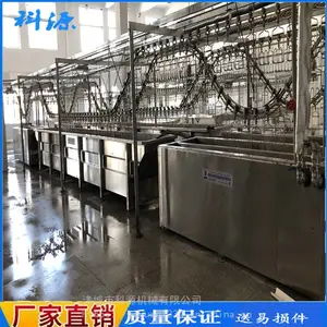 科源鸡流水线 家禽流水线 家禽宰杀流水线 大型屠宰流水线