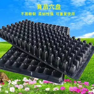԰����ľ������ ��50�������������Ӫ��Ѩ��PET����