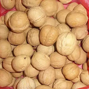 ���������ӹ���185ֽƤ����ɹ���ʳ�ز� ���̼� ��ó����