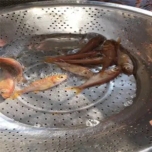 �н���ͷ�� ��ɫ������***