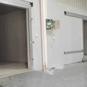 ��⡢��塢������顢�����ա��������