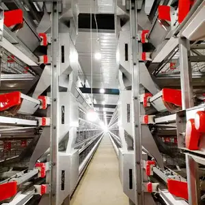 层叠式自动化蛋鸡 育雏育成笼养设备源头厂家