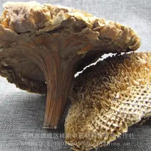 ���տ����ﹺ�� ���տ����С����տ�����������������