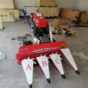 ǰ�����ײݷ�Ƭ�� ΢�ʹ󶹸�ɹ�� ���׸����ַ��ո��