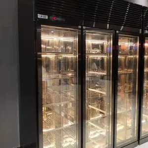 三盾冷链松下冷柜冷冻展示柜立式牛排柜