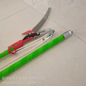 ZF010528��ľ�޼�����4��6�׸߿�԰�ַ�ľ��ӳ���˫����֦��