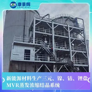 康景辉化肥厂尿素生产装置 单效废水蒸发器 强制循环蒸发结晶器
