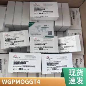 Entegris 英特格 应特格 过滤器 WG2F02RR2 WG2F02RR4