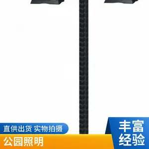 庭院灯小区户外防水花园灯3米双头中式仿古园林景观灯 路灯