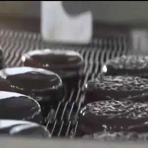 食品网带适用于制作巧克力饼干