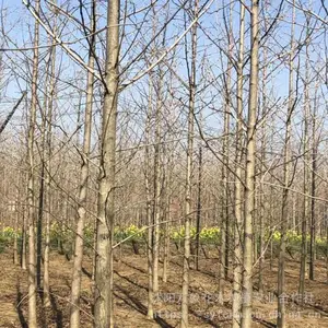 ���� �޽��������۸� 2������������ ����ľ