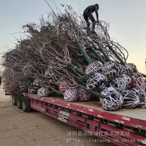 4����ӣ���۸� ��ӣ ��ӣ Ⱦ����Ұӣ����