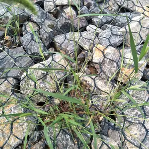 包塑格宾网 防汛格宾网 铁丝六角网 石笼网供应