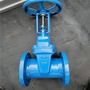 明杆碳钢软密封闸阀 Z41X-25C DN100 弹性座RRHX铸钢软密封闸阀
