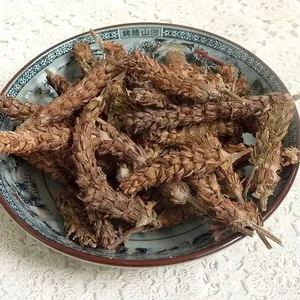 �Ŀݲݼ�� �Ŀݲ���ȡ������� ���������о�Ժ