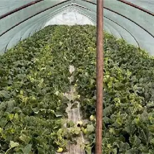 吉林PO膜哪有卖 山东省守正塑业供应