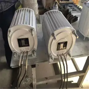 50KTYZ永磁同步电机6W220V交流马达正反转低速微型电动机马达