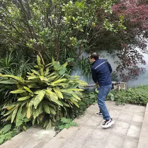 ���ݾƵ������绰�����