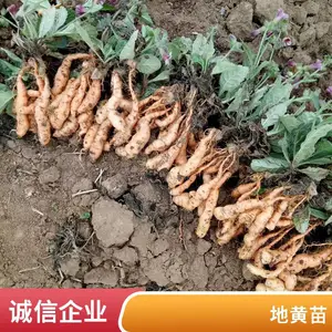 ���Ͳ����� �Ͳ����� �����籭�� �޸����ܶ������ر�